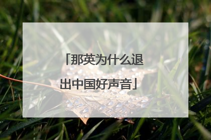 那英为什么退出中国好声音