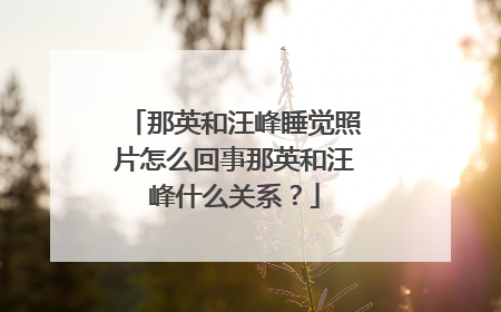 那英和汪峰睡觉照片怎么回事那英和汪峰什么关系？