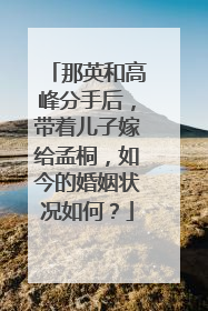 那英和高峰分手后，带着儿子嫁给孟桐，如今的婚姻状况如何？
