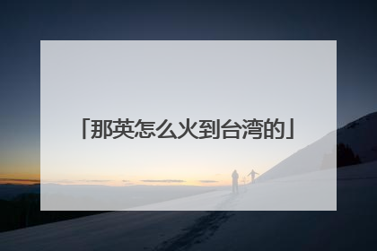 那英怎么火到台湾的