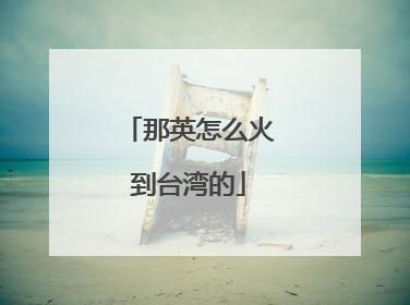那英怎么火到台湾的