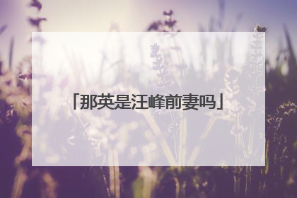 那英是汪峰前妻吗