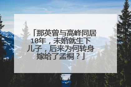 那英曾与高峰同居10年，未婚就生下儿子，后来为何转身嫁给了孟桐？