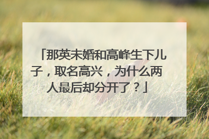 那英未婚和高峰生下儿子，取名高兴，为什么两人最后却分开了？