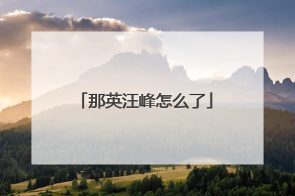 那英汪峰怎么了