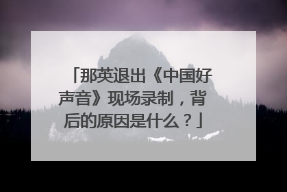 那英退出《中国好声音》现场录制，背后的原因是什么？