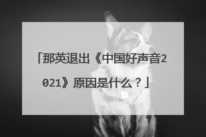 那英退出《中国好声音2021》原因是什么?