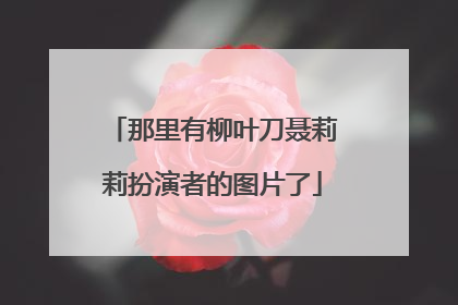 那里有柳叶刀聂莉莉扮演者的图片了