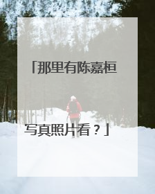 那里有陈嘉桓写真照片看?