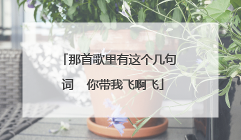 那首歌里有这个几句词  你带我飞啊飞