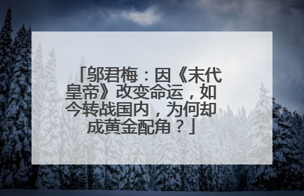 邬君梅:因《末代皇帝》改变命运,如今转战国内,为何却成黄金配角?