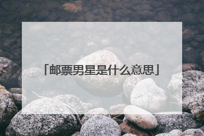 邮票男星是什么意思