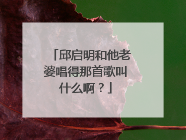 邱启明和他老婆唱得那首歌叫什么啊?
