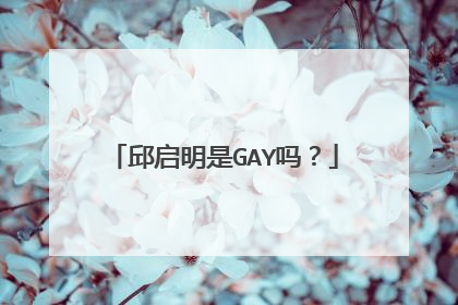邱启明是GAY吗?