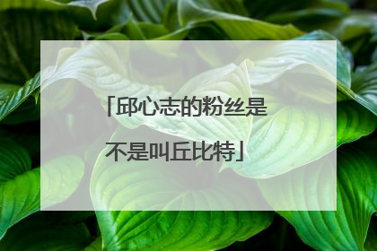 邱心志的粉丝是不是叫丘比特