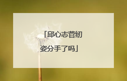 邱心志菅纫姿分手了吗