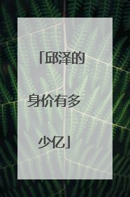 邱泽的身价有多少亿