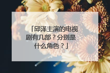 邱泽主演的电视剧有几部？分别是什么角色？