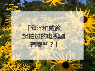 邱泽和戚薇一起拍过的电视剧有哪些？