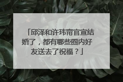 邱泽和许玮甯官宣结婚了，都有哪些圈内好友送去了祝福？
