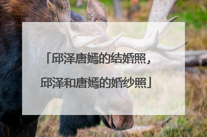 邱泽唐嫣的结婚照, 邱泽和唐嫣的婚纱照