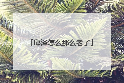 邱泽怎么那么老了