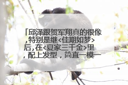 邱泽跟贺军翔真的很像,特别是继<佳期如梦>后,在<夏家三千金>里,配上发型,简直一模一样啊,大家觉得不?