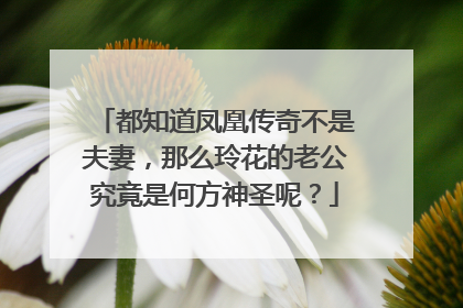 都知道凤凰传奇不是夫妻,那么玲花的老公究竟是何方神圣呢?