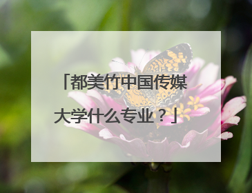 都美竹中国传媒大学什么专业？