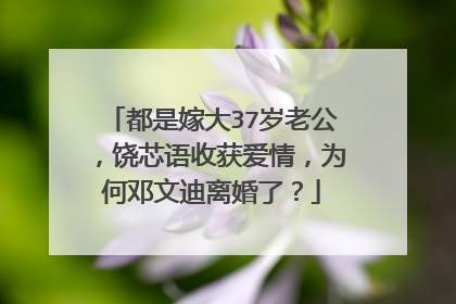 都是嫁大37岁老公，饶芯语收获爱情，为何邓文迪离婚了？