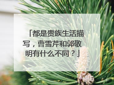 都是贵族生活描写，曹雪芹和郭敬明有什么不同？