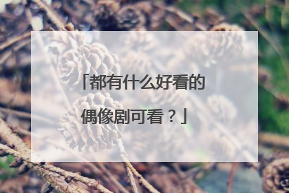 都有什么好看的偶像剧可看？