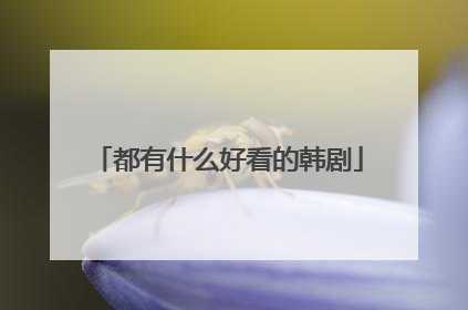 都有什么好看的韩剧