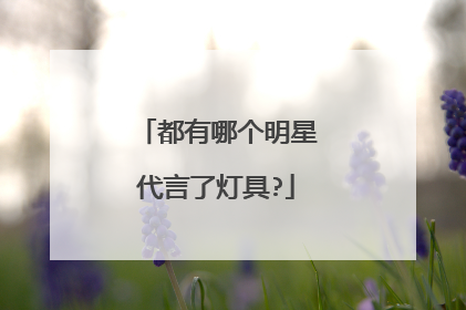 都有哪个明星代言了灯具?