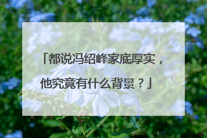 都说冯绍峰家底厚实,他究竟有什么背景?