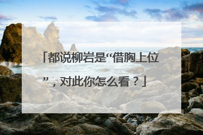都说柳岩是“借胸上位”，对此你怎么看？