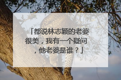 都说林志颖的老婆很美，我有一个疑问，他老婆是谁？