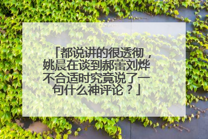 都说讲的很透彻，姚晨在谈到郝蕾刘烨不合适时究竟说了一句什么神评论？