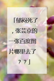 郁闷死了，张芸京的一张百度图片哪里去了？？