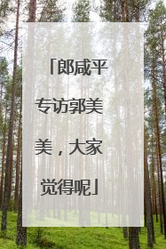 郎咸平专访郭美美，大家觉得呢