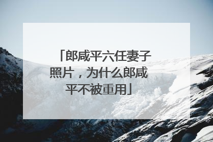 郎咸平六任妻子照片,为什么郎咸平不被重用