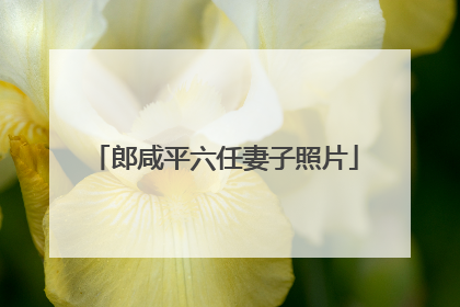 郎咸平六任妻子照片