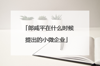 郎咸平在什么时候提出的小微企业