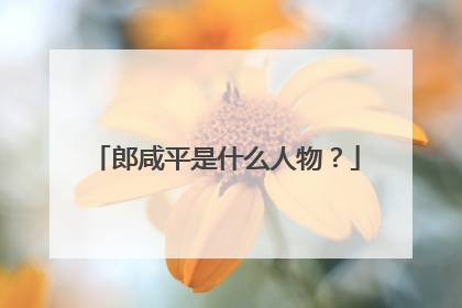 郎咸平是什么人物？