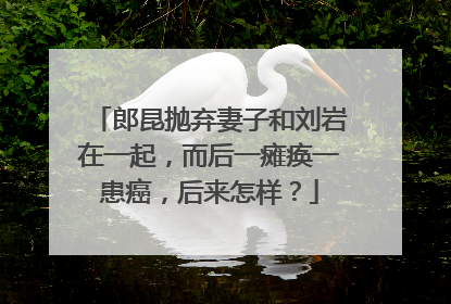 郎昆抛弃妻子和刘岩在一起，而后一瘫痪一患癌，后来怎样？
