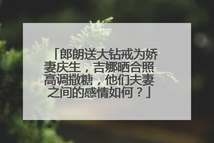 郎朗送大钻戒为娇妻庆生，吉娜晒合照高调撒糖，他们夫妻之间的感情如何？
