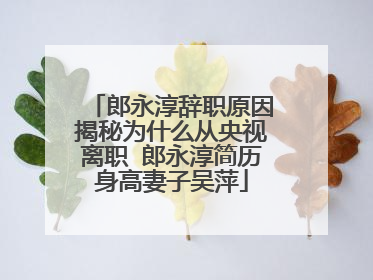 郎永淳辞职原因揭秘为什么从央视离职 郎永淳简历身高妻子吴萍