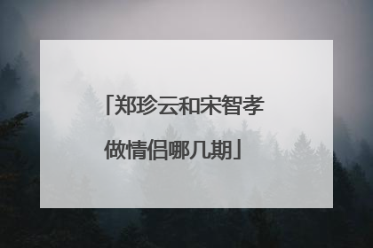 郑珍云和宋智孝做情侣哪几期