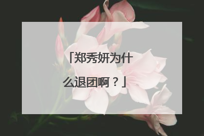 郑秀妍为什么退团啊?