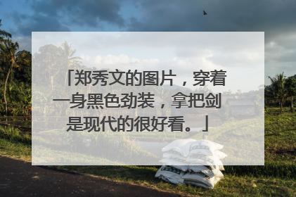 郑秀文的图片,穿着一身黑色劲装,拿把剑是现代的很好看。